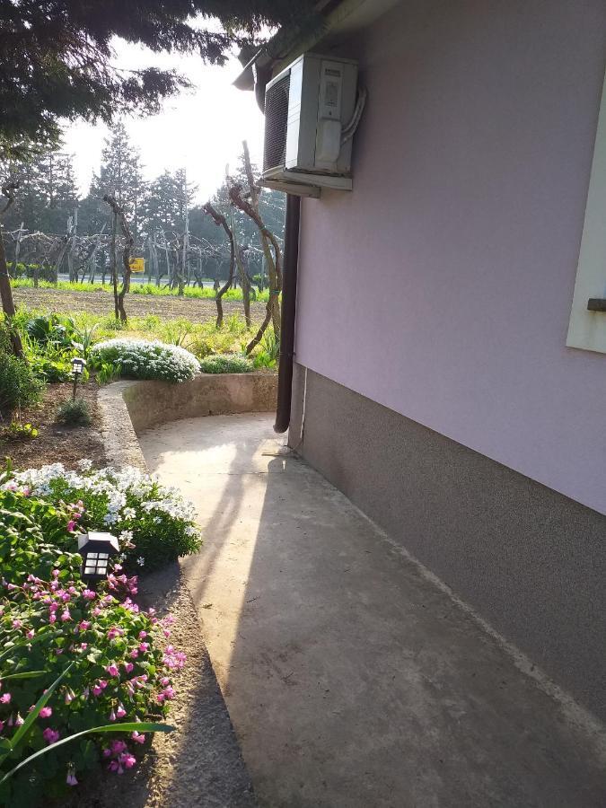 Istra Apartment Koper Ngoại thất bức ảnh